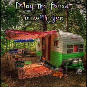 Meet your Posher, Elliott